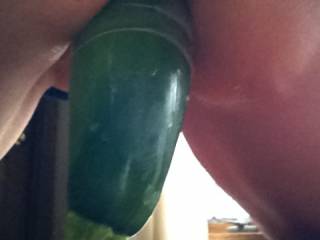 If I was sitting in front of you, watching you squat on that lucky cucumber, I'd be bearing down on my throbbing cock in time with you until your cum was dripping from your gorgeous pussy...