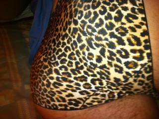 Leopard butt