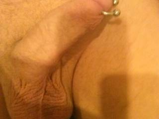 my dick - prince albert