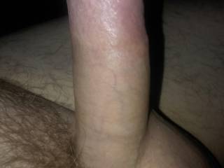 My cock for you to enjoy