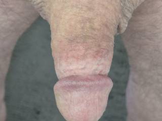 My small circumcised cock