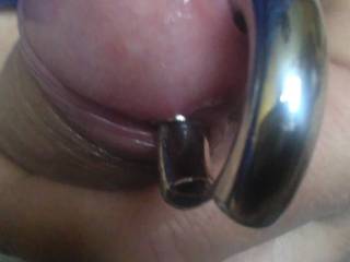 New 1g PA.  Tug it!