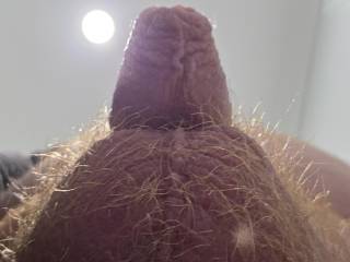 Balls n foreskin