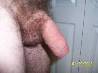 You could never have too much hair for me.  That's one nice piece of meat.  LOVE the foreskin!
