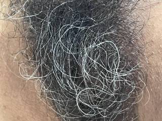 Hairy still
