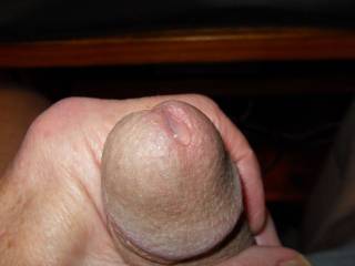 Stroking and getting pre to eat