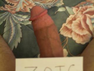 My Zoig labeled cock