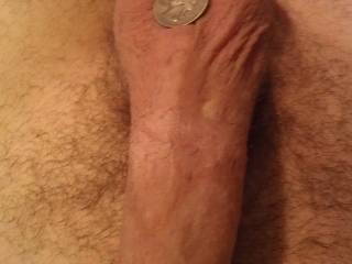 Just felt like taking a pic of my semi erect penis. Quarter there for size representation. Not into those fake camera angles. What you think.