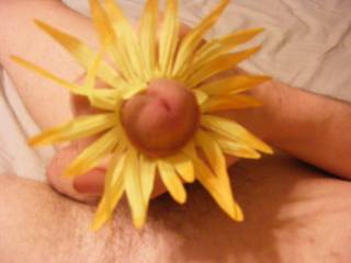 dick with flower