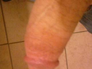 8" hard pussy pounder what do you think ladies