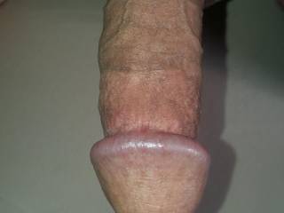 Lifted  my  dick  
For You