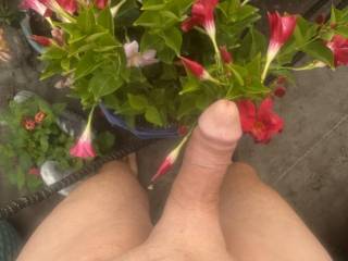 Out in the morning, enjoying the flowers
