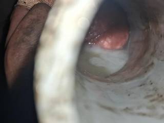 Pov:your tonsils