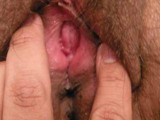 GREAT PUSSY