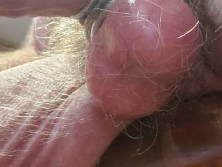 Ringed and full and hairy

How would you empty them