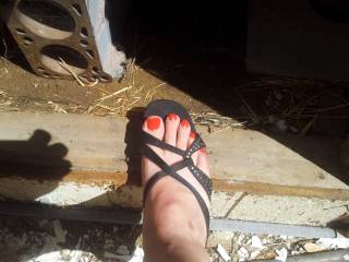 red toes to suck