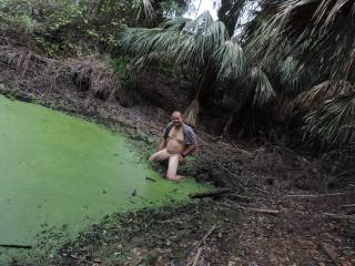 i saw this green mud pool have to get in it