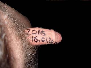 zoig