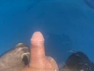 I love the feel of a nice cool pool.