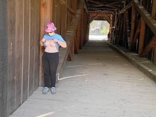bridge fun in a national park