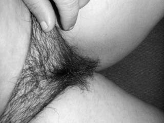 Ur hairy pussy looks very tasty. May i have a lick or 2