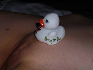 Playing with my christmas duck