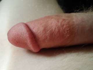 Close up of nice dick