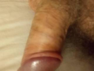 My cock. Would you like it?