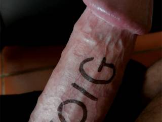 Genuine Cape Town Cock