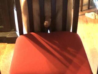 Dick in chair