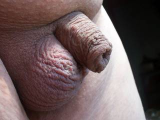 Just hanging out. Want to hang with me?