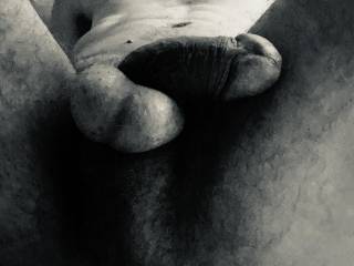 Body