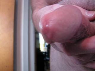 Glistening and in need of a licking.