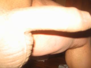 my cock