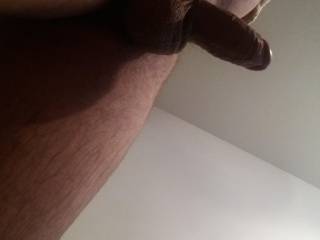 cock