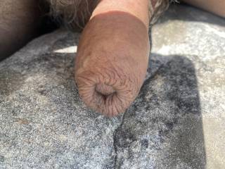 My soft uncut cock resting on a rock