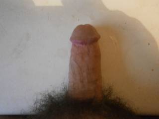my hard cock after looking at lovely ladies on zoig 
who would like feel it spread there pussy lips apart?