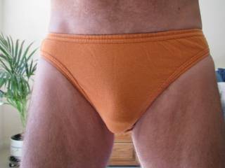 I like the subtle outline of Mr. F\'s cock in these undies.  From Mrs. F