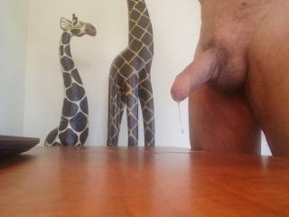 Well enough playing with my cock, it is time to get back to work.