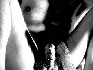 Cock and Tail