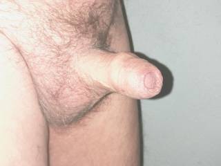 Do you like old uncut cocks?