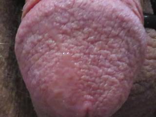 leaking precum while on zoig