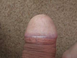 if only i could keep my foreskin over when flaccid!