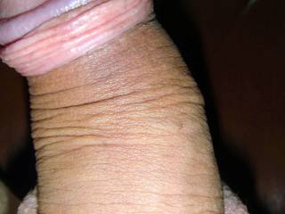 Cock