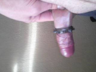 cock ring half way down making my bellend swell what u think