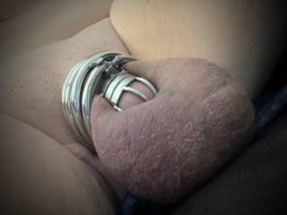 ringed and caged