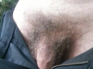 What would you do if you saw me on the trail like this  ??