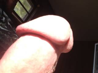 my cock