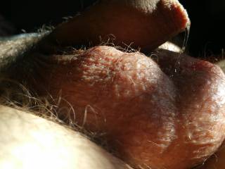 Do you like my balls?
