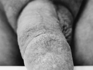 my COCK on display